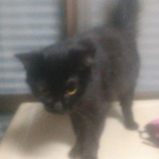 お悩み相談