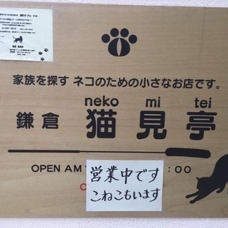 バロン君3月10日正式決定！しました。長い間ありがとうございました。