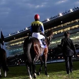 競馬好き集まれー