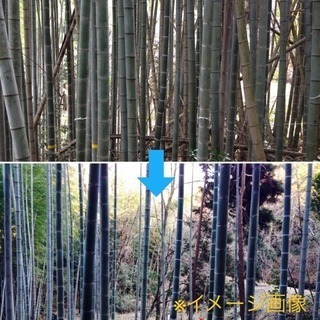 農家さん必見草や竹、放置した山に困っていませんか？
