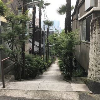 【募集】明日、品川で一緒にヨガできる方(*´꒳`*)♪ - 品川区