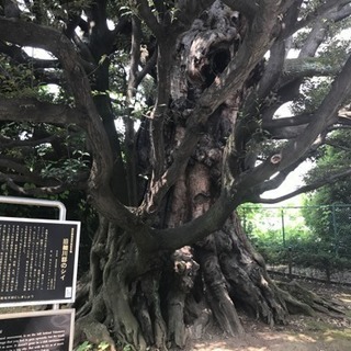 【募集】明日、品川で一緒にヨガできる方(*´꒳`*)♪ - スポーツ