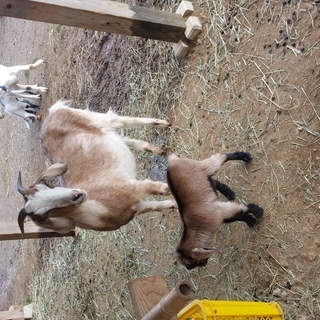 ヘルパーさん大募集！の画像