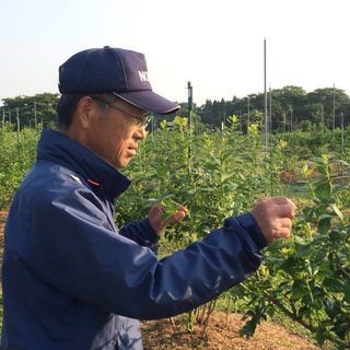【北上市ふるさと納税返礼品情報】