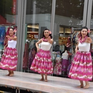kotocafe フラダンスまで後１週間の画像