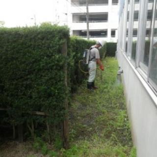 ■福岡県春日市■お庭の雑草・除草剤散布【任せて安心】【福岡グリー...