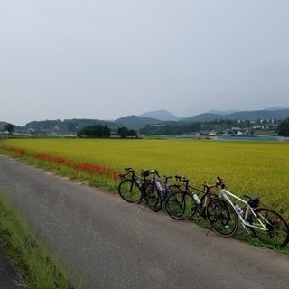 ロードバイクチーム - スポーツ