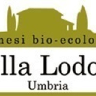 アシスタント　リラクセーションスパニスト　アイリスト　募集の画像