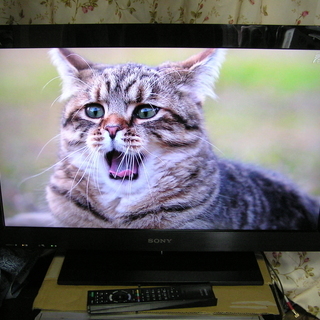 ◇取引終了 ソニー ブラビア 32V型テレビ KDL-32EX30R ☆500GB