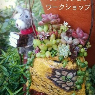 南流山＊多肉寄せ植えワークショップ