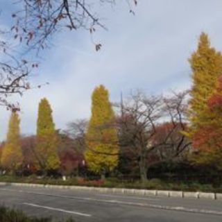 お友達募集します😃☕