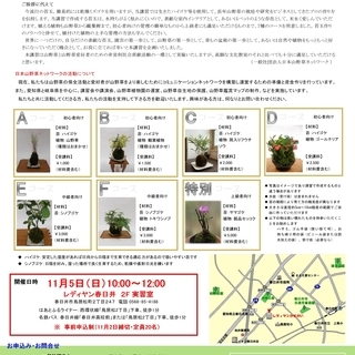 11月5日(日)苔玉の作り方講習