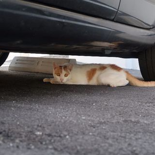 写真に興味がある方