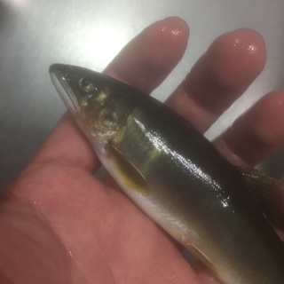 一緒に釣りしよう！