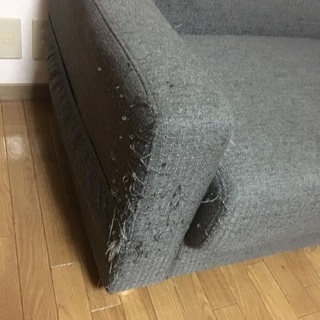 ソファー 収納有りの画像