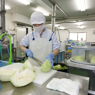 《食品工場》調理補助アルバイト募集（高校生可）　未経験者大歓迎！の画像