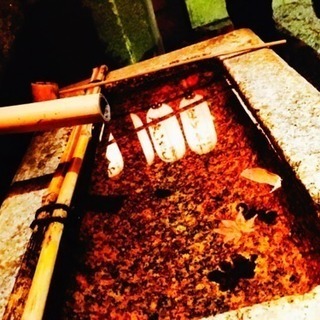 写真DE京都の紅葉散策