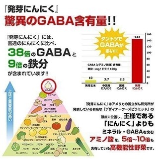 【送料無料】 発芽 にんにく 30個 無農薬 滋賀県産 水耕栽培 根っこも食べてください ネコポス 希少で 市場に出回りませんの画像