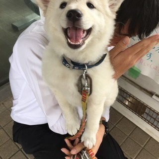 里親さん募集中です