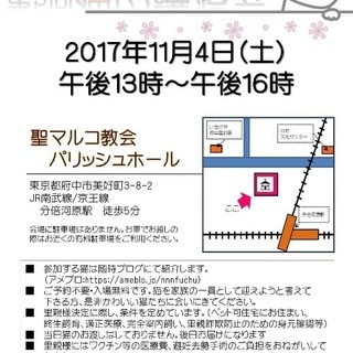 第５回合同猫の譲渡会