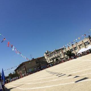 大人の本気の運動会🏃🎶　