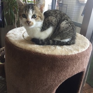 素敵な里親様に出会えました💝