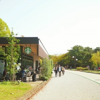 ゆるく繋がる休日カフェ【大濠公園】11/3(金祝) 17:00〜...
