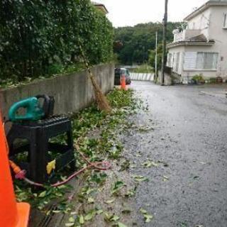 お庭の伐採と剪定