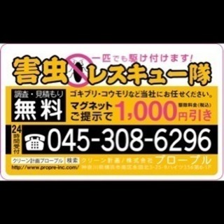 ハト、カラス、清掃・消毒
