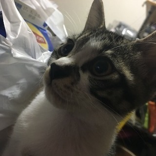 友達募集