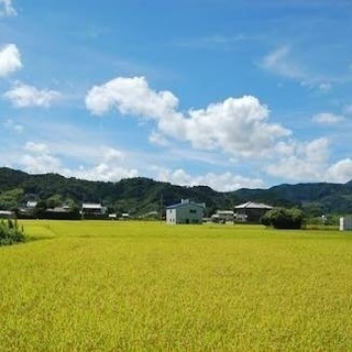 一緒に遊びませんか😄