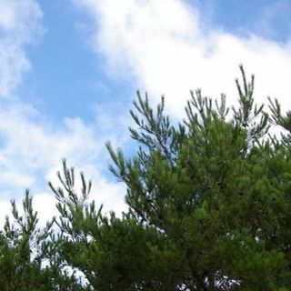 30歳からのカメラ・一眼レフ同好会♪