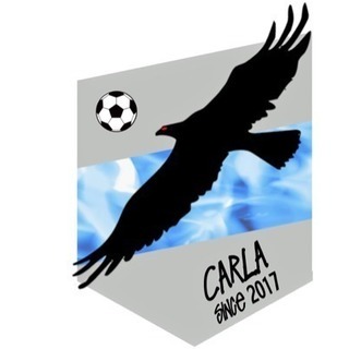 フットサルメンバー募集 チーム名 Carla