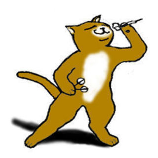快活CLUBでダーツやってる人