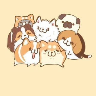 遅い時間からのカラオケメンバー募集！(￣-￣)ゞ