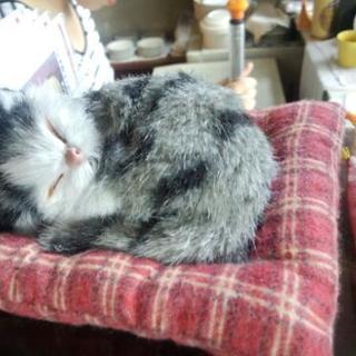 ゴルフ打ちっぱなし仲間