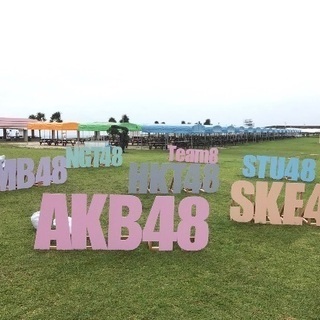 アイドルの振りコピ募集