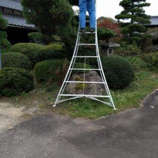 【水戸市｜便利屋】剪定、草刈、代理代行サービス - 水戸市