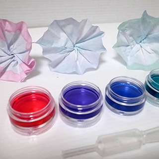 「サイエンスは文化」 こどもtoiro-サイエンス教室-の画像