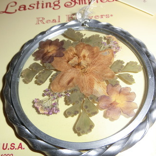 アメリカ製額装押し花　メタルフレームの画像