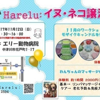 イヌ・ネコ譲渡会&ワークショップ