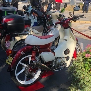 スーパーカブ 仲間募集