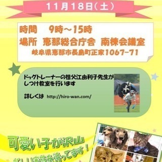 イヌ•ネコ譲渡会
