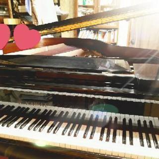 🎹ピアノ教室　生徒募集🎹