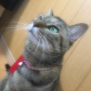 遊園地に皆さんで一緒にいこう！