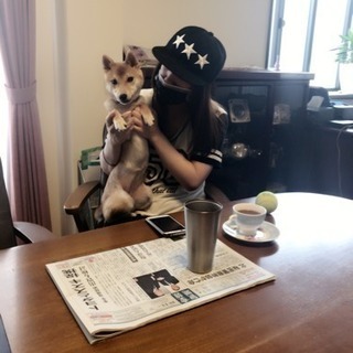 家族同然に可愛がっている豆柴犬 犬アレルギーの孫の為に手放すことにしました。 − 大阪府