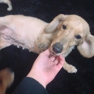 悲しい目をしたお母さん😭