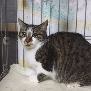 なかよし兄弟姉妹
