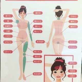 最新の機械使用‼️無痛スピード全身脱毛10回10万円‼️