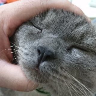 友達が欲しい(´・ω・｀)